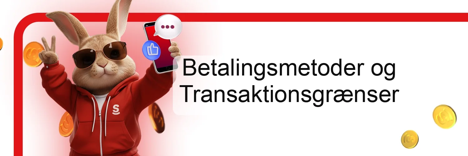 Betalingsmetoder og Transaktionsgrænser