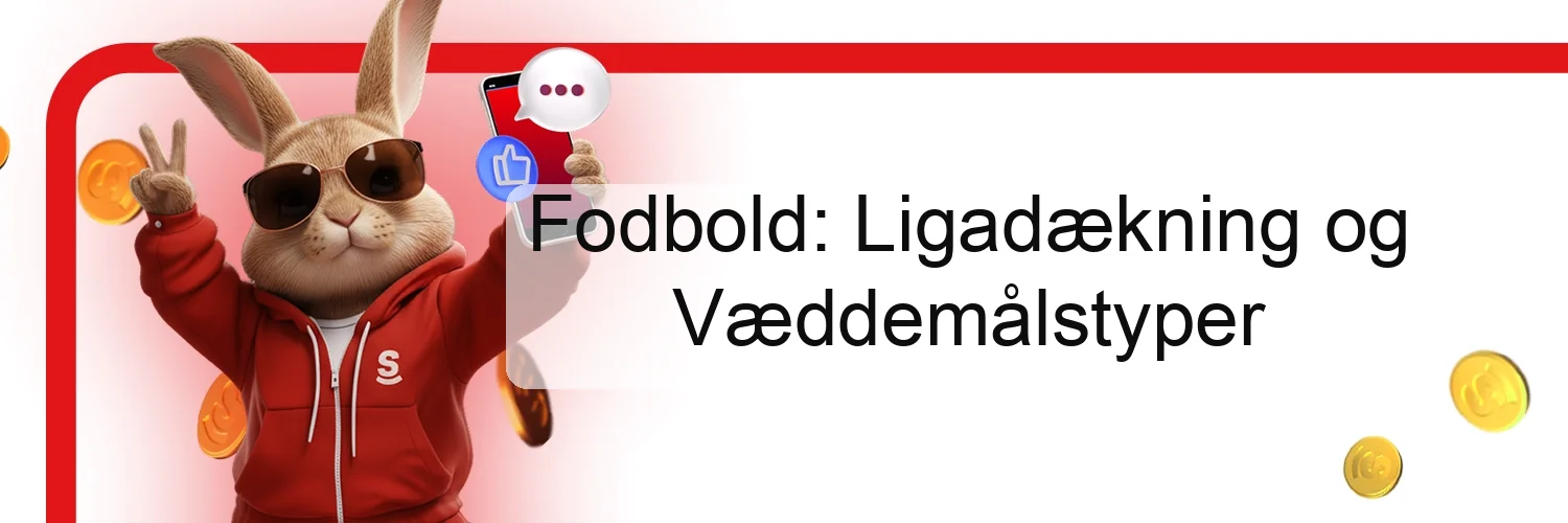 Fodbold: Ligadækning og Væddemålstyper